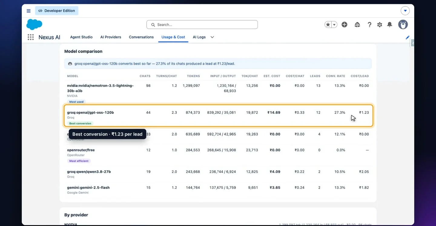 The usage and cost dashboard showing tokens, conversations, leads captured and cost per lead
