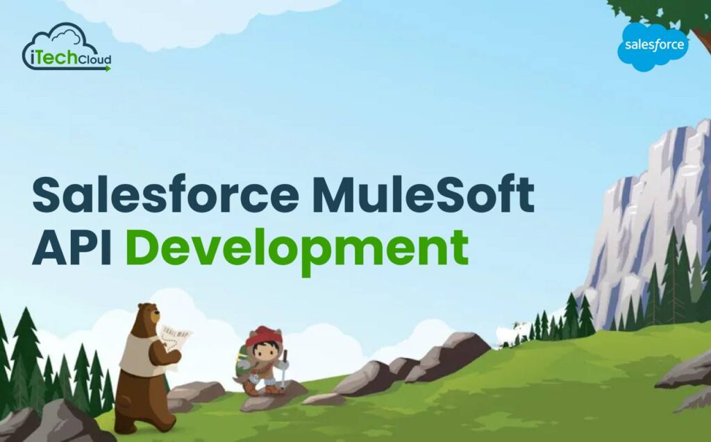 Salesforce MuleSoft API Development