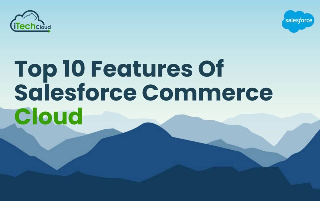 salesforce commerce cloud features