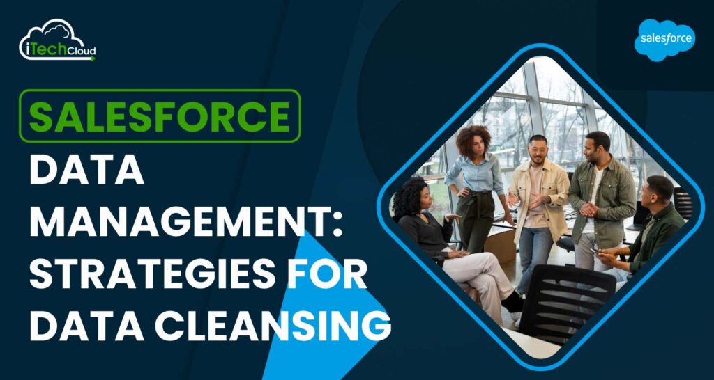 Salesforce Data Management: Strategies for Data Cleansing