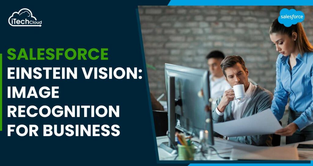 Salesforce Einstein Vision: Image Recognition for Business