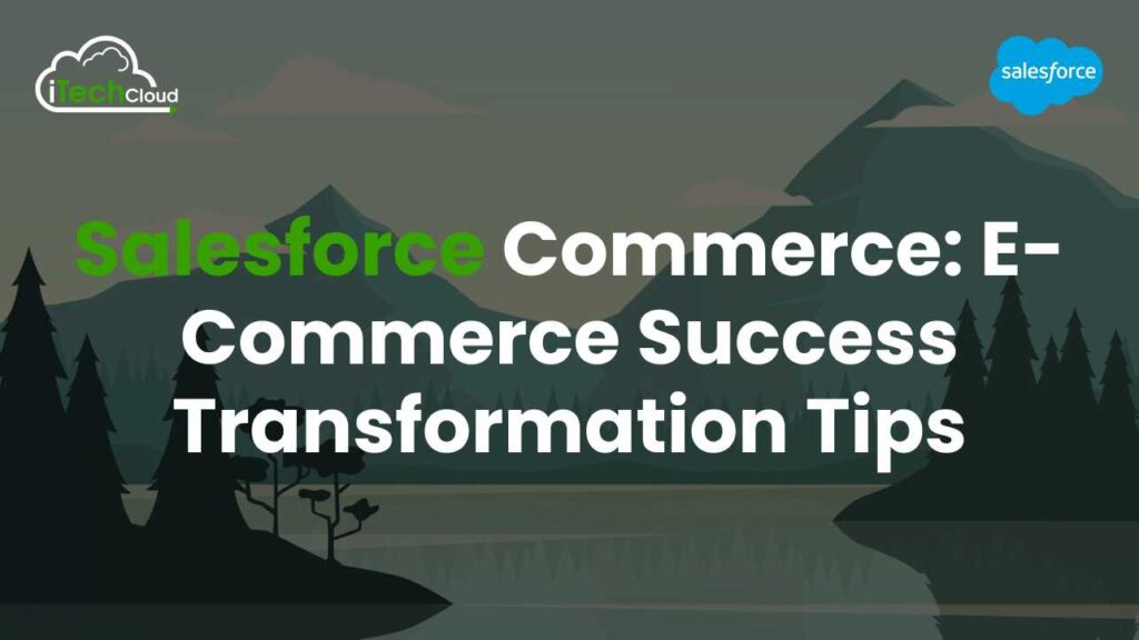 Salesforce Commerce: E-commerce Success Transformation Tips 1 Salesforce Commerce: E-commerce Success Transformation Tips