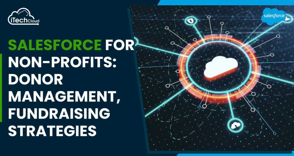Salesforce For Nonprofits: Donor Management, Fundraising Strategies