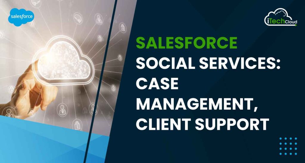 Salesforce Social Services: Case Management, Client Support