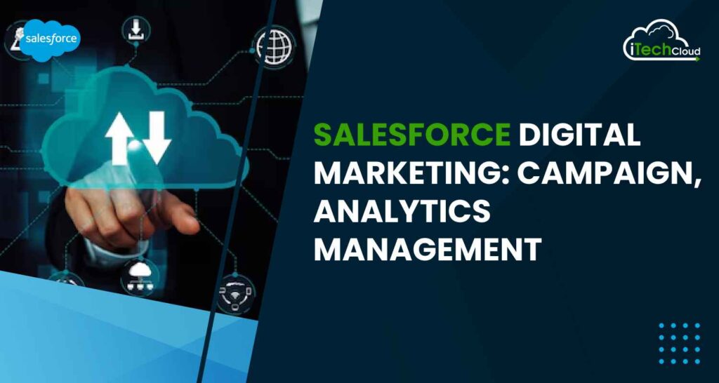 Salesforce Digital Marketing: Campaign and Analytics Management
