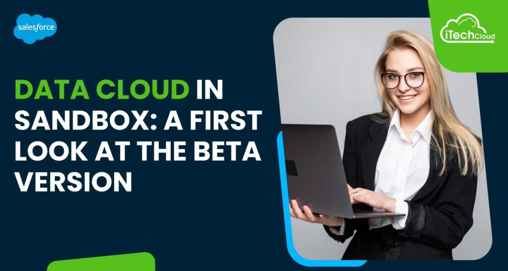 Data Cloud in Sandbox: A First Look at the Beta Version