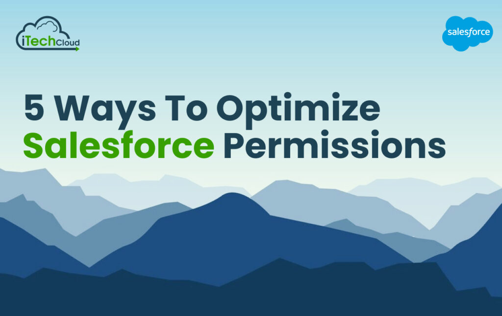5 Ways to Optimize Salesforce Permissions
