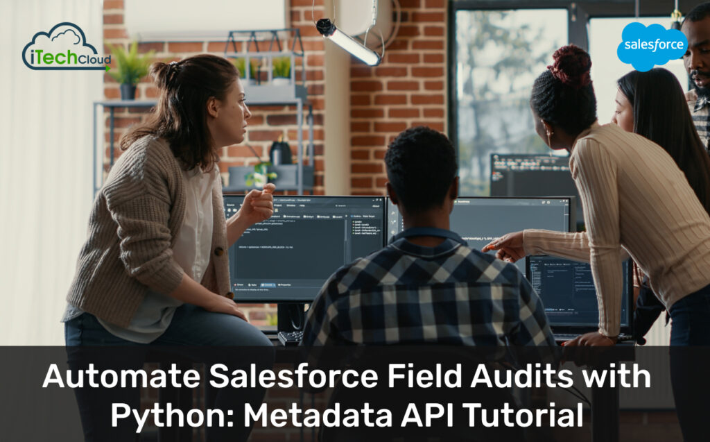 Automate Salesforce Field Audits with Python: Metadata API Tutorial