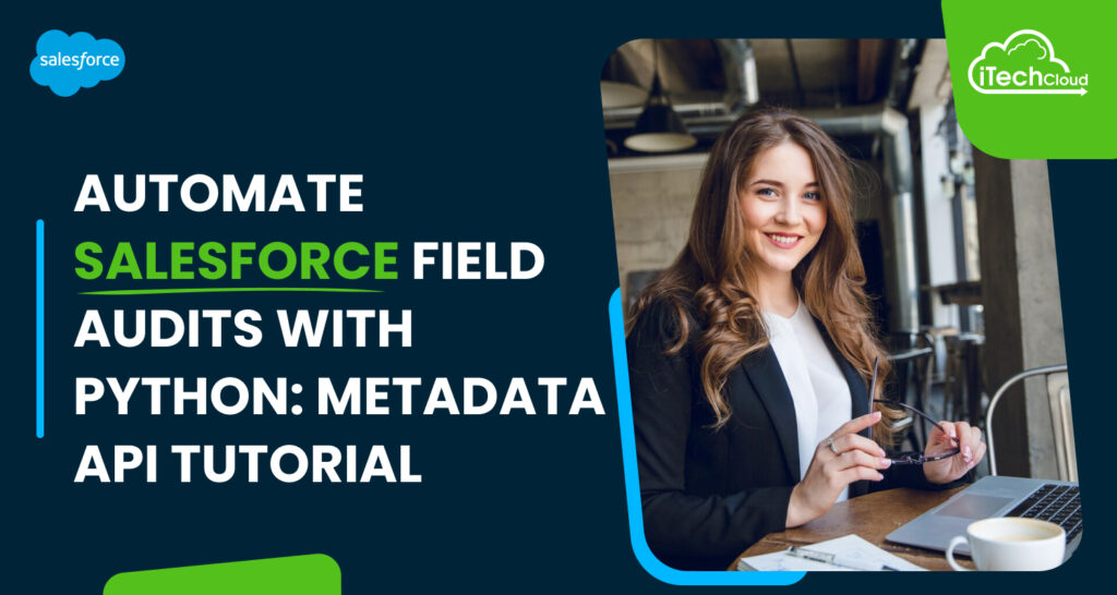 Automate Salesforce Field Audits with Python: Metadata API Tutorial