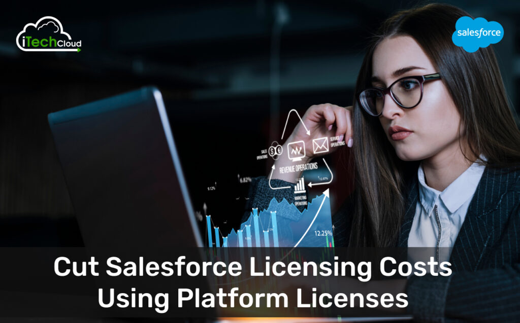 Cut Salesforce Licensing Costs Using Platform Licenses
