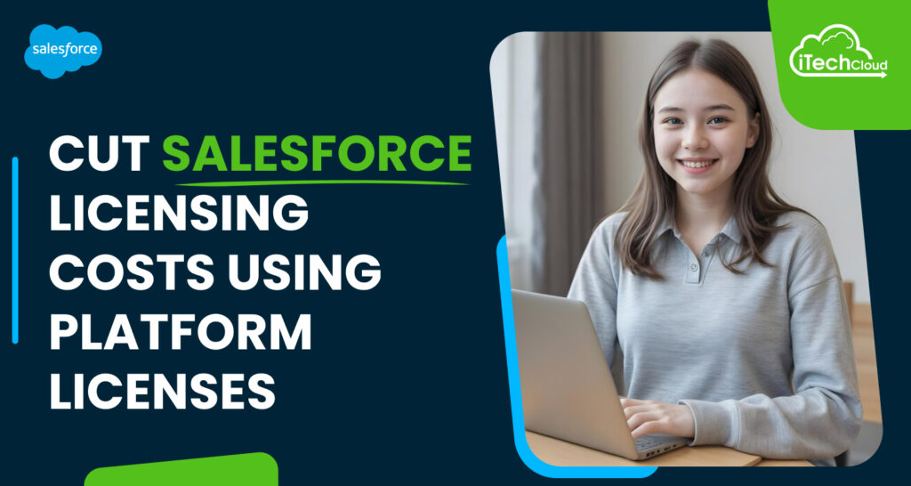 Cut Salesforce Licensing Costs Using Platform Licenses